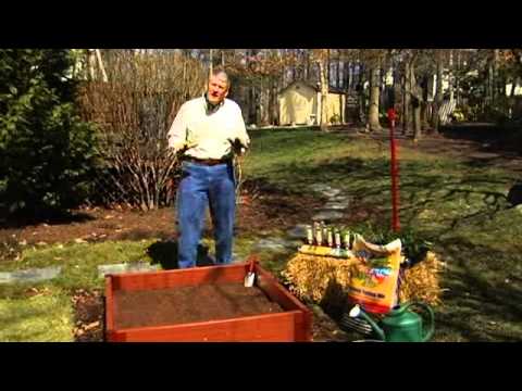Benefit Of Raised Garden Beds – Southern States