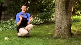 Build a Decorative Tree Border