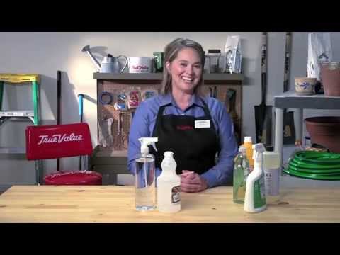 Eco-Friendly Cleaning Products