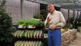 Finding the Right Seeds and Plants with Southern States