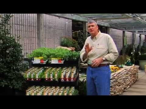 Finding the Right Seeds and Plants with Southern States