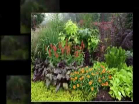 Flower Garden Design