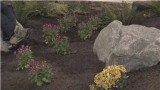Flower Garden Tips : How to Design a Flower Garden