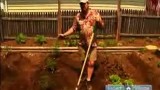 How to Plant a Vegetable Garden : Ideas for Designing Your Vegetable Garden