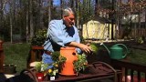 How To Start A Container Garden – Southern States
