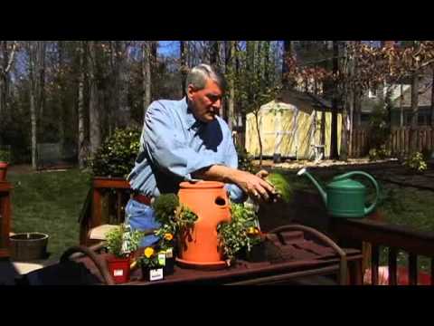 How To Start A Container Garden – Southern States
