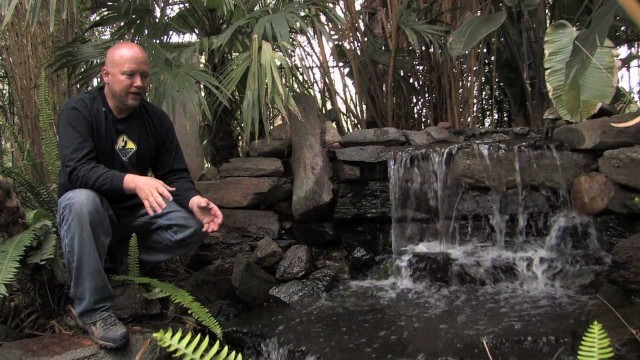 Koi Pond | Water Garden Design