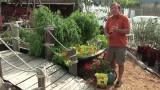 Maintaining a Garden : Vegetable Gardening for Beginners