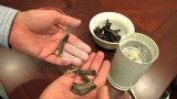 Making Eggshell & Banana Peel Organic Tomato Fertilizer: Blossom End Rot – The Rusted Garden 2013