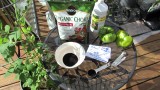 Organic Blood Meal – What is It & How do You Use it on Garden Vegetables? – The Rusted Garden 2013