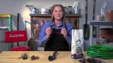 Plant Spring Bulbs