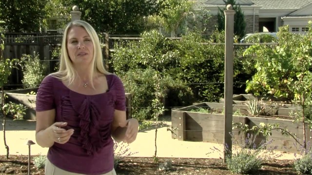 Raised Bed Gardens & Espaliered Fruit Trees
