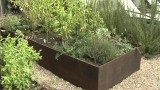 Raised Bed Vegetable Garden