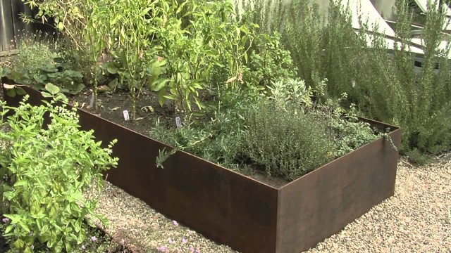 Raised Bed Vegetable Garden