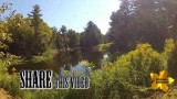 The Old Growth Oak CONTEST- FREE SEEDS